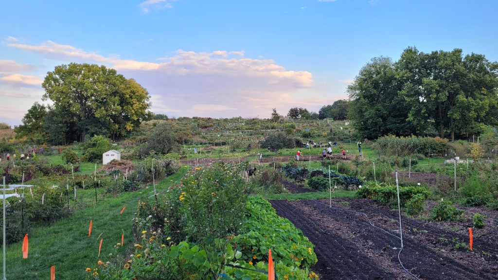Landscape shot of Eagle Heights Community Gardens with people gardening.