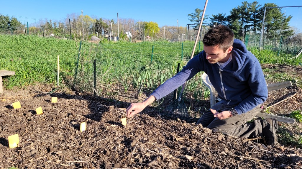 A student plants seeds in his garden plot.
